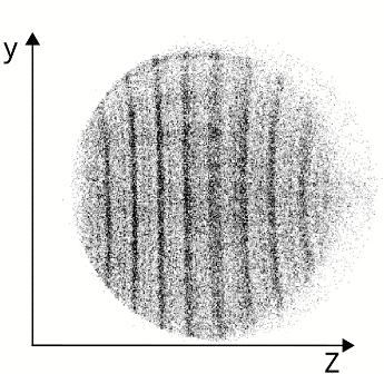 The figure shows a linear crystal of 6 ions on a camera, but in the far field, and featuring interference fringes